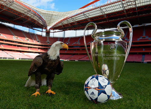 作为今年话 作为今年话